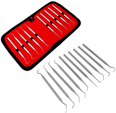 Set of 10 Stainless Steel Precision Micro Pick Set Combo, 5.5 inch to 6 inch Overall Length