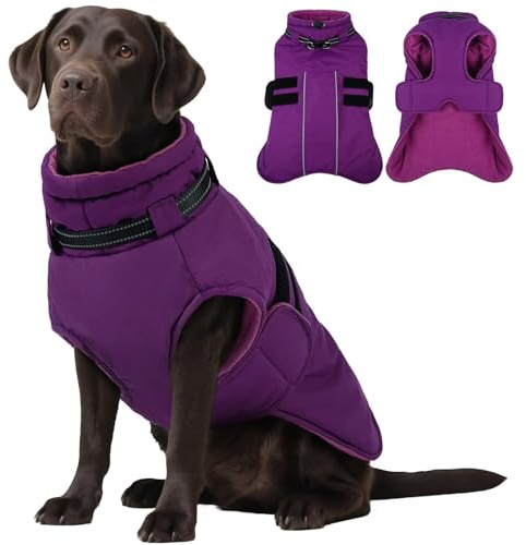 IECOii Cappotto invernale per cani impermeabile, XXL, caldo, in pile riflettente natalizio, con foro per imbracatura, giacca da neve regolabile per cani di taglia grande, cappotti autunnali per cani