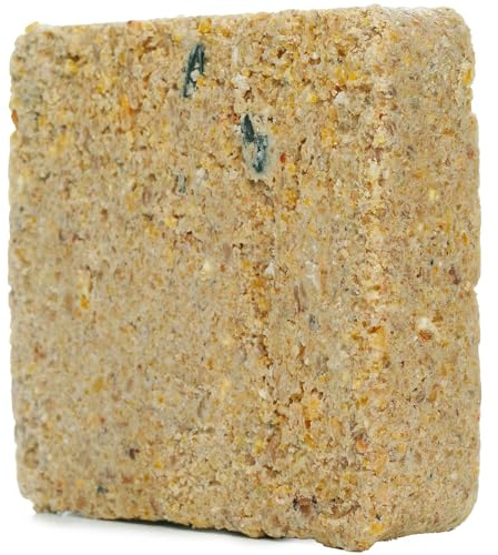 SQUAWK Suet Fat Blocks | Premium Garden Wild Bird Food | Enhanced Formula | Naturally Blended, High in Energy & Protein-Rich Feed | Full of Nutritious Fat Fibre & Moisture (Mealworm, 10)