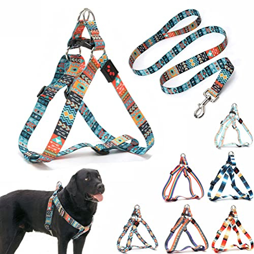 Dog Harness and Leash Set, Pretty Pattern No-Pull Pet Halter Puppy Vest Outdoor Easy Walk for Small Medium Large Breed Pug Bully Mastiff Dogs Female Male, Ethnic Small