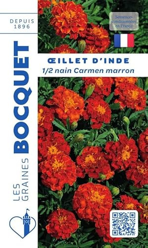 Sachet de graines de Oeillet d'Inde demi nain marron - 1,2 g - fleur annuelle - LES GRAINES BOCQUET