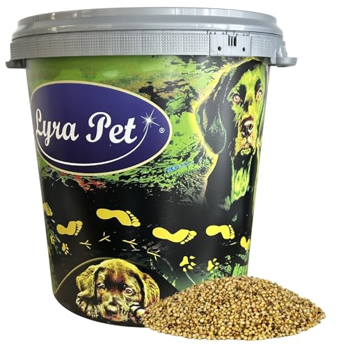 Lyra Pet® 10 kg Dari Blanc (sorgho), pour Oiseaux Sauvages + Seau de 30 L | Riche en glucides & fibres | Aliment complémentaire pour oiseaux & petits rongeurs | Nutritif toute l’année
