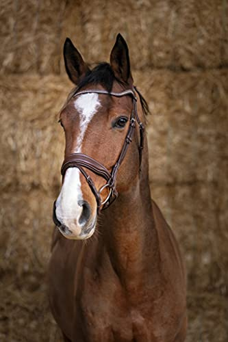 Norton Bridon Pro Miss - Couleurs - Havane, Taille Equipement Cheval - Cheval