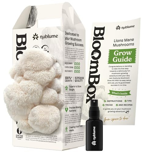 NuBlume Bio Löwenmähne Pilz Growkit | Züchten Sie Ihre eigenen frischen Gourmet-Pilze zu Hause | Essbare Pilzzucht-Sets für den Innenbereich, tolles Geschenk für Kinder und Erwachsene
