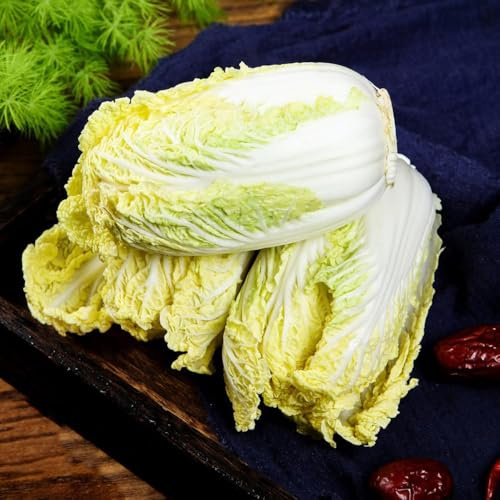 600 pezzi semi di pak choi resistenti - sostenibili per donne rari semi di ufficio ortaggi biologici, col resistenti Cina