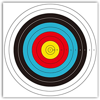 Cibles de tir à l'arc 40 cm x 40 cm Norme Internationale 10 Anneaux en Papier cibles 30 pièces