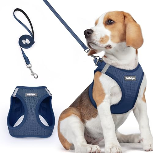 rabbitgoo Pettorina Cane Taglia Piccola con Guinzaglio, Blu Scuro L