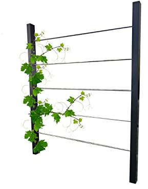 RANKMANUFAKTUR Design Rankhilfe Metall - 160x195cm - Ideale Pflanzen & Perfekter Sichtschutz - Spalier inklusive Befestigungsset - Rankgitter für Garten & Terrasse