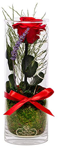 Rosen-Te-Amo, Regalo Dia de la Madre | Rosa eterna preservada roja perfumada en rafinada Maceta de Vidrio || Flores Naturales Domicilio | Decoracion hogar | Regalos Originales Mujer