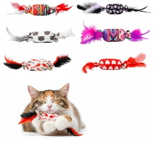 DtgEcd Cat Feather Toy, Cat Toys For Indoor Cats Adult, Interactive Cat Toys With Feathers, 6 Piece Set With Red Purple Black White Feathers, Engaging Playtime For Indoor Cats And Kittens
