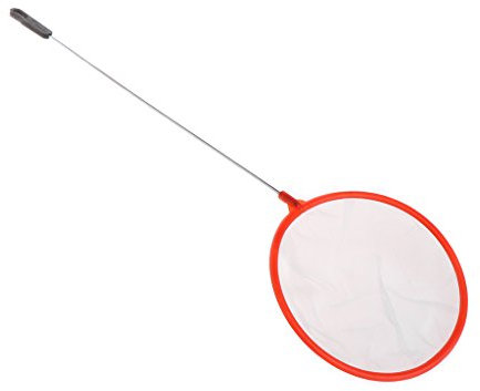 BFLKY Aquarium Fish Net 3 4 4.5 Inches Fine Skimmer Filter For Small Fish For Catching Net With Comfortable Handle