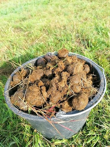 Generisch 50 Liter Pferdeäpfel Pferdemist Pferdedung Biodünger Naturdünger Blumendünger - Dünger für Rosen, Orchideen und Indoor-Pflanzen
