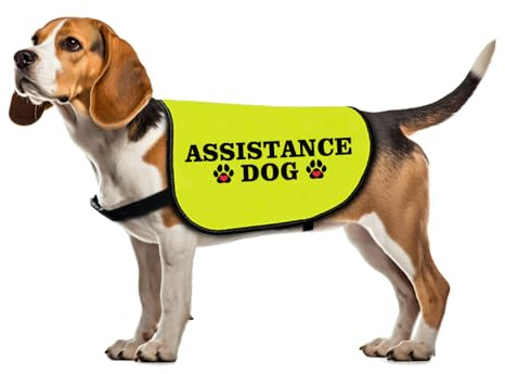 Funny Assistance Dog Jacket - Slogan Vest for Working Dogs - Social Distancing Gift (Large)