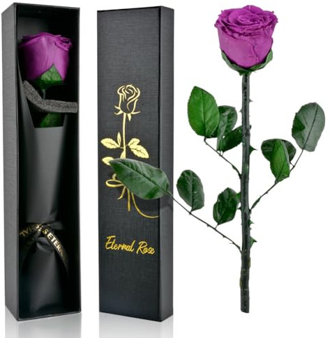 PLECUPE Rosa eterna con gambo, vera rosa infinita in scatola, regalo per donne, rosa conservata, durevole in scatola di rosa, regalo per mamma, fidanzata, San Valentino, festa della mamma, viola