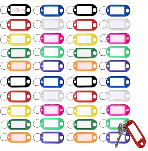 xutong Llaveros de Plástico con Etiqueta, 100 Piezas, 10 Colores, con Anilla para Llaves, Llaveros para Hotel Escuela de Oficina EquipajeHogar, Maletas y Mascotas Marcadores