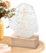 Predictor meteorológico Oracle Style Storm Glass - vidrio sellado, lectura meteorológica estética, reacción a los cambios atmosféricos, aspecto místico | Estación meteorológica decorativa para