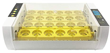 HSOYGE Mini-Inkubator mit automatischer Temperaturregelung und Luftfeuchtigkeit für 24 Eier, zum Ausbrüten von Hühnern, Enten, Gänsen, Vögeln oder für Bildungszwecke