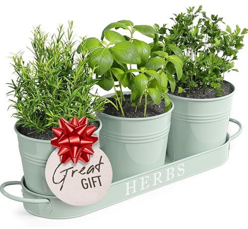Barnyard Designs Set di 3 fioriere per erbe aromatiche con vassoio, per giardino interno o esterno, in metallo color menta morbida, vasi per piante grasse (set da 3, 11 x 10 cm, su vassoio da 32 x 10