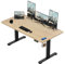 TRIUMPHKEY Escritorio Eléctrico de 160x80cm, Escritorio Ajustable en Altura, Toma USB, 3 Controles de Memoria, Mesa de Ordenador, Escritorio para Oficina, Escritorio de Pie