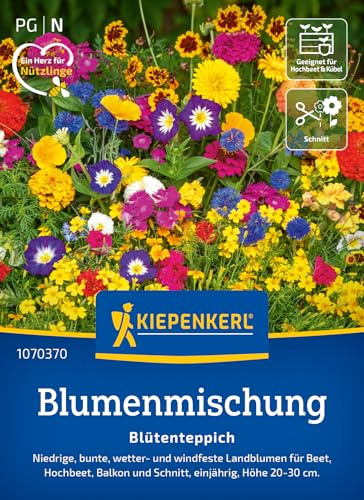 Kiepenkerl Blumensamen-Mischung Blütenteppich 1070370, Sommerblumensaat