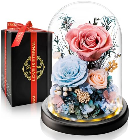 Touloube Rosa Eterna Preservada en Cúpula de Cristal con Luz LED | Regalo de Día de la Madre para Mamá, Regalo Mujer para San Valentín, Aniversario, Novia, Esposa y Abuela | Flores Que Duran Años