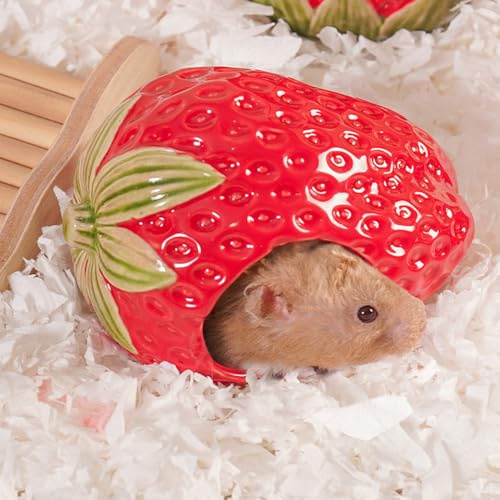Zhilishu Cachette en céramique pour Hamster, Fraise, Hamster syrien, Gerbille, Souris, Cochon d'Inde