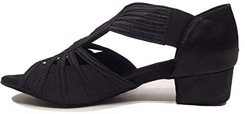 HIPPOSEUS Ladies' Latin Dance Shoes Black Low Heel 1 1/4inch Ballroom Salsa Bachata Dancing Heels,6.5 UK