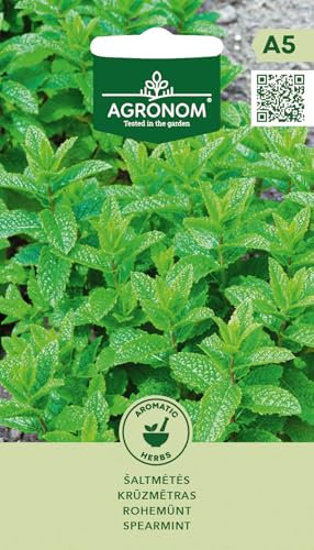 AGRONOM | Graines de menthe verte | Graines de fleurs | Graines de plantes | Plantes vivaces, 80–90 cm de haut | Convient aux pots et aux jardins d'herbes aromatiques | Graines de jardin | 1 paquet