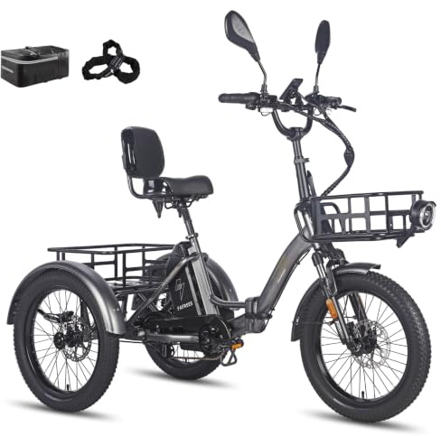 Fafrees F20 Mate Elektro Dreirad, Upgrade 2025 E-Bike 3 Rad 48V 23.45Ah Akku, E Bike Dreirad Klapprad 20 * 3.0 Zoll, Hydraulischer Bremsstarter (Vorderkorb + großer Korb, Grau)