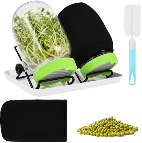 BUTORY 2-pack grodd glas set komplett, glas groddodlingsset med lock i rostfritt stål, droppställ, ljustätt fodral och skål för broccoli, mullbönor och alfalfa groddar