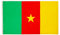 PHENO FLAGS Kamerun Flagge 90x150cm - wetterbeständige Fahne mit Messingösen, 100% Polyester, robuste Doppelnaht & in lebendigen Farben - ideal für Flaggen-Liebhaber