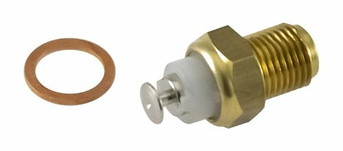 Termostato RMS per Ducati/Cagiva 800053249