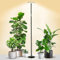 chiphy Grow Light for Indoor Plants, All Metal Floor Plant Light, 40W 4000 Lumen Dimmable Grow Light, Natural Sunlight, 69 Heights Adjustable Tall Lamp for Houseplants