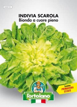 Sementi orticole di qualità l'ortolano in busta termosaldata (160 varietà) (INDIVIA SCAROLA BIONDA A CUORE PIENO)