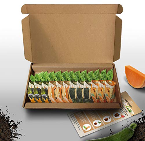 Vegtrug Seed Pods Kit - Vegetable Patch, Non-GMO Seeds with Fully Biodegradable Seed Pods, Contains Seeds of Broccoli, Zucchini, Pumpkin, and Butternut Squash, Pack of 1