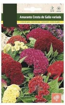 Semillas Celosia Cristata | Flor Cresta Gallo | Flores Mix Color