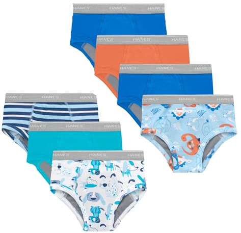 Hanes Toddler Potty Trainer Briefs for Toddlers, Light Leaks Potty Training Underwear for Toddler Boys, Multipacks