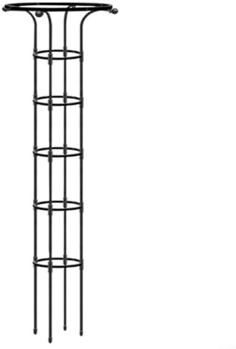 Bordfly Griglia in metallo da giardino, obelisco, design verticale, resistente alle intemperie, per interni ed esterni, per piante rampicanti, salvaspazio (185 cm)