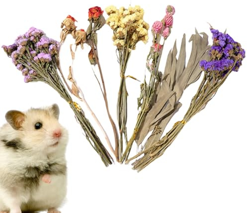 Genérico Lecho para Hámster, Flores Naturales De Espiga, Decoración De Hábitat con Flores para Animales Pequeños, Lecho De Flores Secas para Hámster, Divertidos Accesorios para Hámster Jerbo