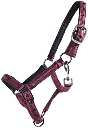 QHP Fohlen-Halfter Lily Zierkordel (Warmblut Fohlen, Bordeauxrot)