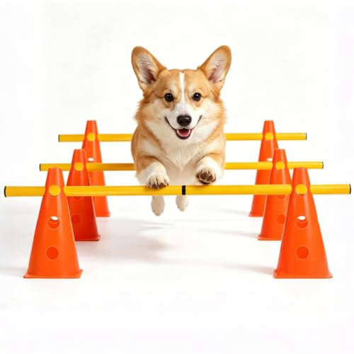 SKENGWEL Ensemble d'équipement d'agilité pour chien, kit d'équipement de saut portable pour animaux domestiques, hauteur réglable