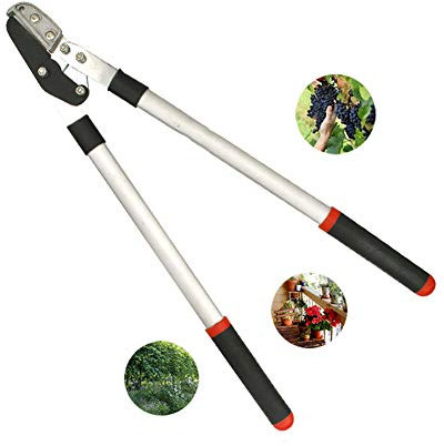 Tijeras de podar manuales de primera calidad, herramienta de corte de palos de huerta para patio de jardín, tijeras de jardín afiladas de boj de seto con hoja de acero SK-5, mango ergonómico