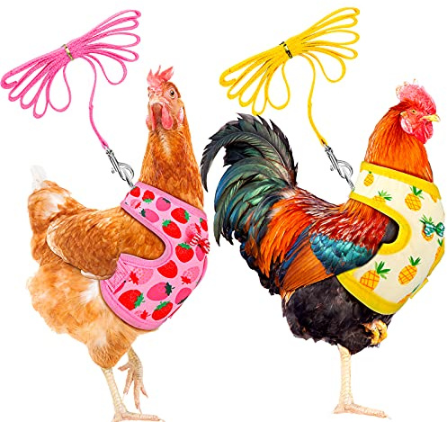 Frienda 2 Pcs Medium Chicken Duck Harness and Leash, Pineapple Strawberry