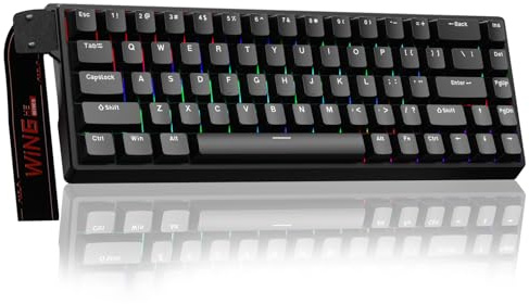 AULA WIN68HE Rapid Trigger Gaming Tastatur mit Kabel,Hall Effect Magnetic Switches,0,02mm RT-Genauigkeit,Einstellbare Betätigung,8000Hz,RGB,60% Mechanische Tastatur
