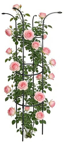 Palaufr Garten-Schirm-Spalier | Dekorative vertikale Rankhilfe rostfrei stabil | Rankgerüst für Außen | für Rosen Clematis Drachenfrucht Gurken