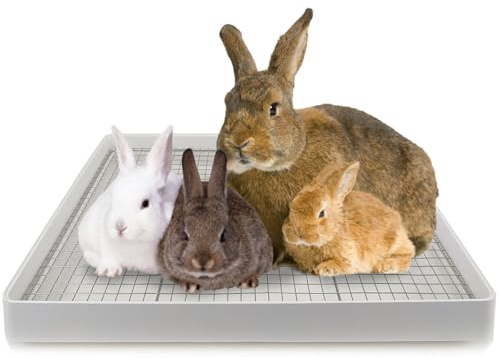 Lettiera gigante fiamminga extra large con griglia metallica, toilette per coniglietto per gabbia, vasino per piccoli animali