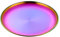 Buyer Star Stainless Steel Plate, Stainless Steel Round Dinner Plates, Metal Serving Plate, Dessert Plate, Dinner Dishes Plates Set for Camping Outdoor, Barbecue, Non-Toxin (Rainbow, 30cm)