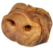 Lenda Careta de Cerdo XL - Snacks Naturales para Perro - Chuches para Perro de Hocico de Cerdo - Ideal como Premio para Razas Medianas y Grandes - Hecho en España - Apto Dieta Barf (1 Unidad)