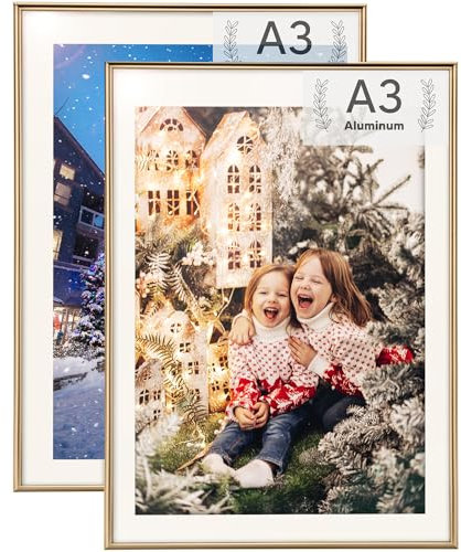 Rieeyrslza Cornice in Alluminio A3 Cornici per Documenti Cornice Poster Set di 2 Cornice Foto Adatto per Gallerie e Case(Champagne)