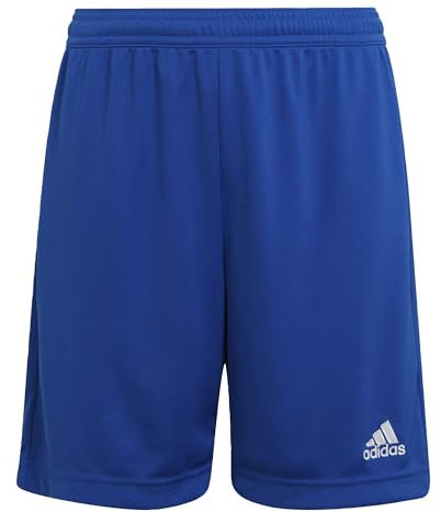 adidas Unisex Kinder Entrada 22 Shorts, Royal Blue, 7-8 Years